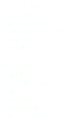 Obra Civil · Terracerías · Cimentaciones · Estructuras de Acero y Concreto · Albanilería Acabados · Alfombras · Recubrimientos · Telas · Persianas · Porcelanatos · Pisos de Madera